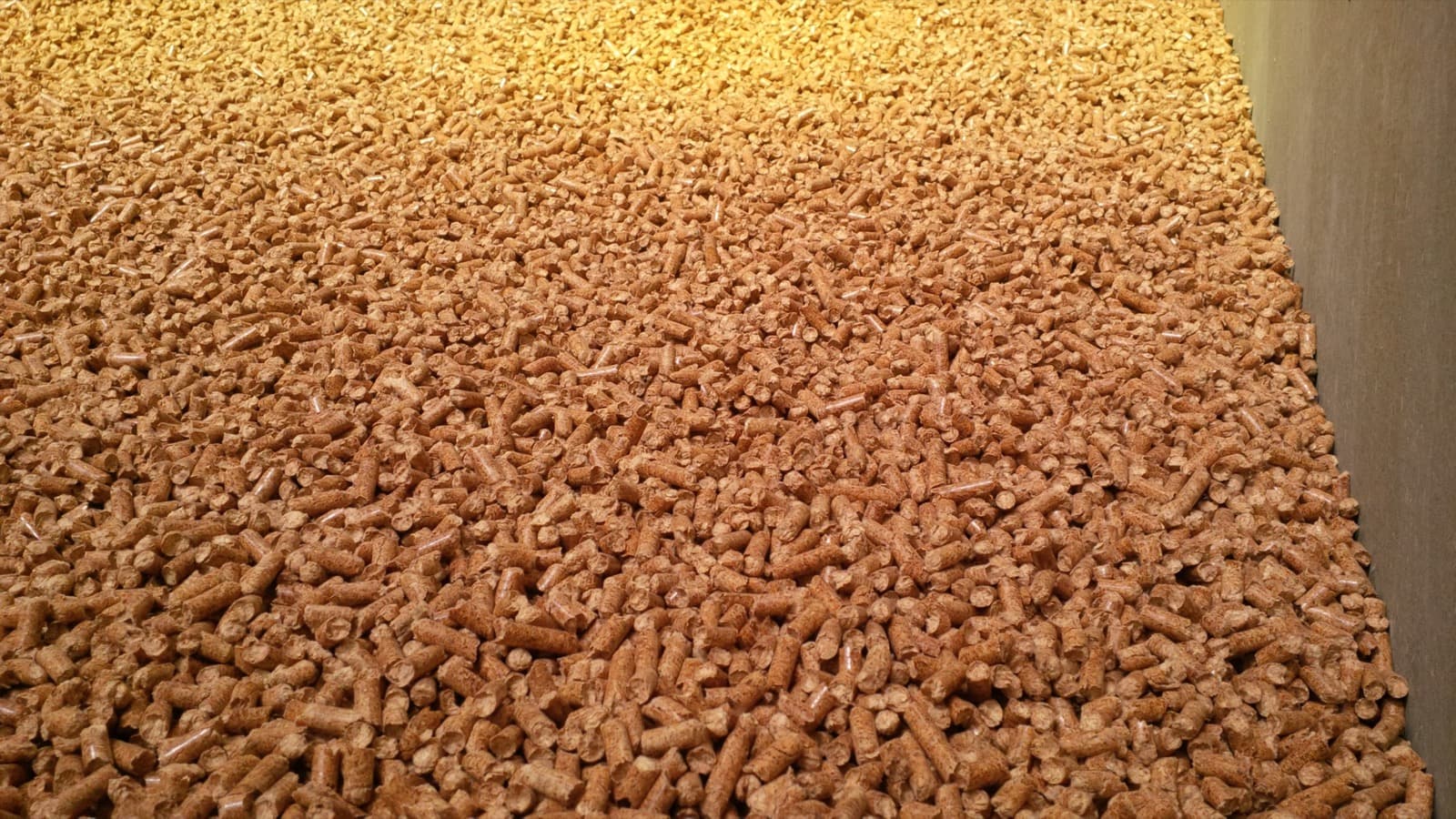 Wood Pellet